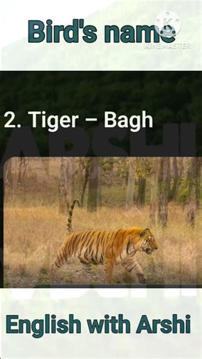 Animals Name English Vocabulary #animals #education #shortsfeed #rmlearning 26February 2026