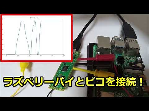 ラズベリーパイとピコを接続！PythonからUSBシリアル通信してみた