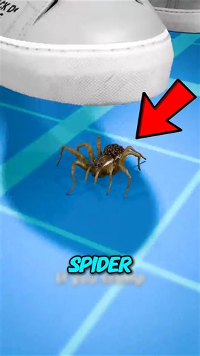Have You Ever Wondered What Happens When You Stomp on a Spider?
