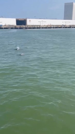 15K views · 340 reactions |  Spring Break is Almost Here! ✨ Make...