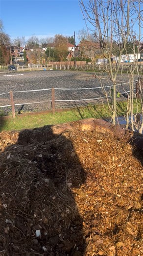 Queen of the muck heap 🐶 | The Stables at Meadowgate