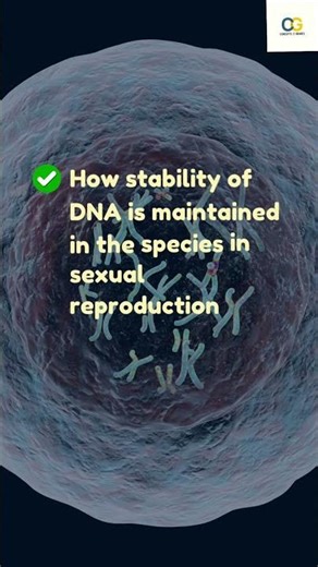 How Do Organisms Reproduce Class 10 CBSE |Most Important Topics| #cbseboardexams