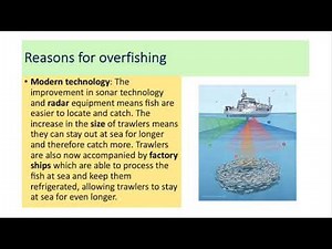 Overfishing: Junior Cycle Geography