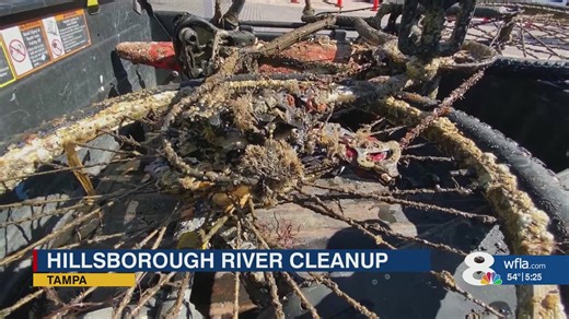 Hillsborough River clean up