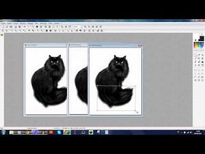 tuto gif animé photofiltre