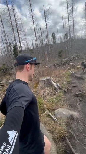 Ostereier suchen mit Bruno — leider ohne Erfolg