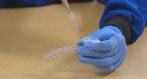 An Inexpensive Kit Teaches Kids About Molecular Biology | Videos