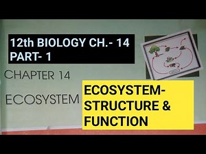 Class 12 biology chapter 14,Part 1||Ecosystem||Study with Farru