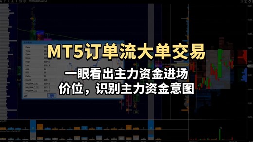 MT5订单流大单交易，一眼看出主力资金意图！