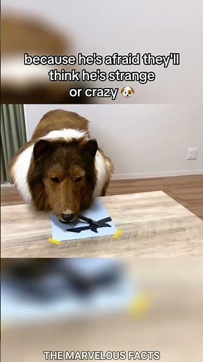 Humans Who Turned Into Animals 😱😱 #shorts #facts #amazingfacts