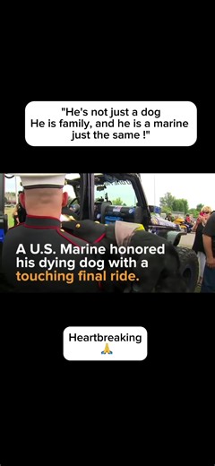 Remembering Our Final Ride Together
