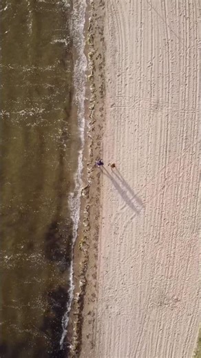 Beach 🏖️ #gopro #dji #aerial #cinematic #videography #ocean #beach #travel #explore #drone #explore