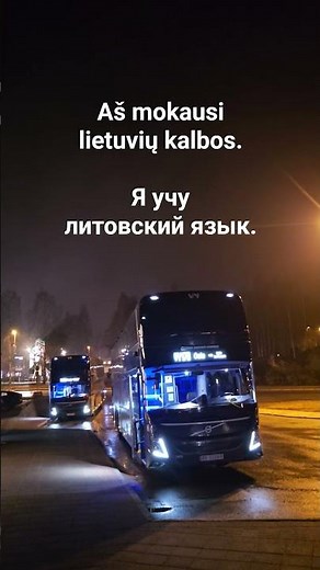 Aš mokausi lietuvių kalbos. Я учу литовский язык. #литовскийязык #lietuviųkalba