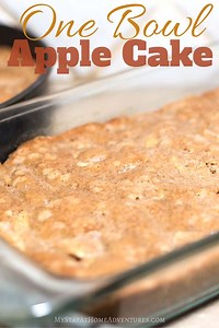 Easy Apple Cake Recipe with Fresh Apples (One Bowl!)