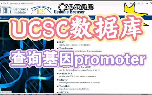 【科研小白的摸爬滚打】用UCSC数据库查询基因启动子promoter区序列