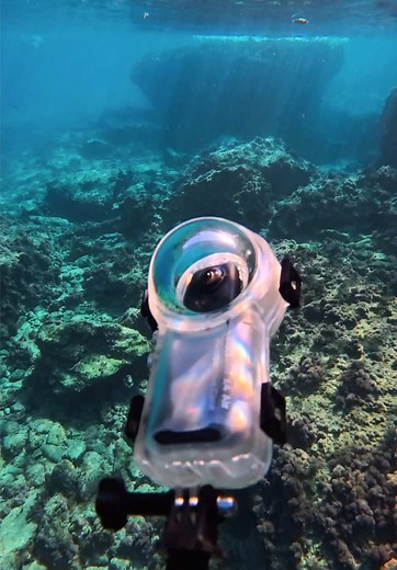 Insta360 X4 vs X4 Air: ¿Cuál elegir en Black Friday?