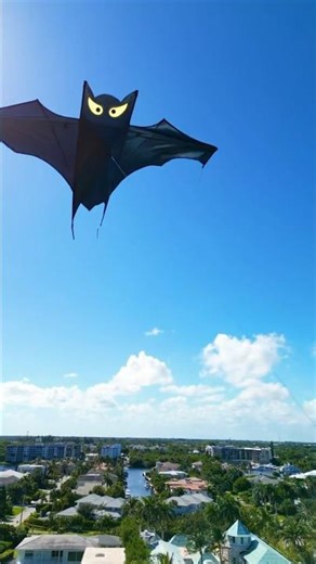 Bat Kite 🦇🪁