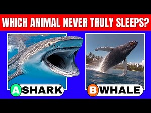 Fun Animal Quiz for Kids | Amazing Animal Facts