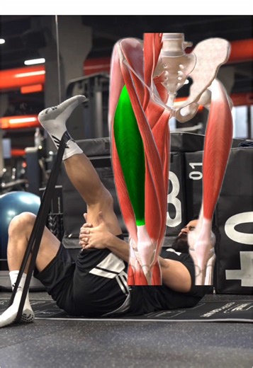⁉️ Why should we train the quads with a mini loop band before a workout? And how does it affect the knee and ACL? 1️⃣ How the knee works: Knee stability depends on three things: bones, ligaments, and surrounding muscles. • Ligaments only kick in when the knee becomes unstable. • Muscles need to activate before the ligaments, otherwise the ACL takes the full load. 2️⃣ What do the quads do? • Control knee bending • Guide the patella (kneecap) 💥 Weak control → shin moves forward → more stress on t