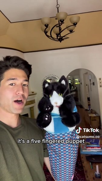 Cat Wrestling Fun: Engaging Playtime with Your Feline