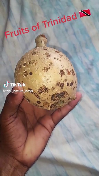 Guess the Local Fruits of Trinidad 🇹🇹