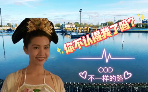污水中纷繁复杂的COD是如何去除的？