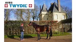 Route des Étalons 2023 : Haras des Rouges Terres avec King Edward