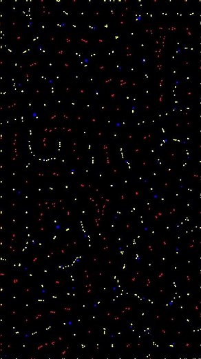 Particle Life Simulation - %s