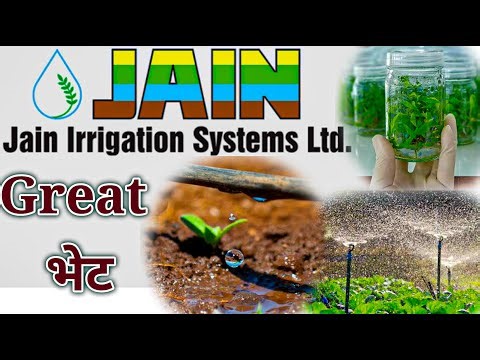 जैन इरीगेशन | Visit To Jain Irrigation System | Big Tissue Culture Company| Potato Aeroponics #Jain