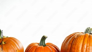 Enjoying family fun at the pumpkin patch in October 2023