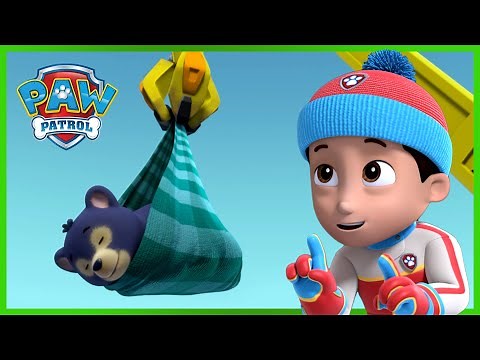 Pups Save the Bears - PAW Patrol UK - Cartoons for Kids