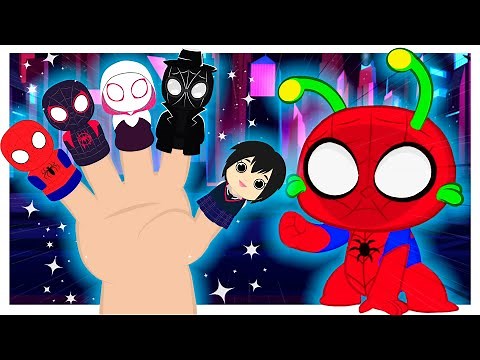 Finger Family SPIDERMAN version 🕸️ | Kids Songs | Groovy the Martian