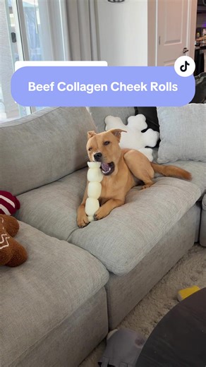 Beef Collagen Cheek Rolls for Dogs: A Tasty Treat