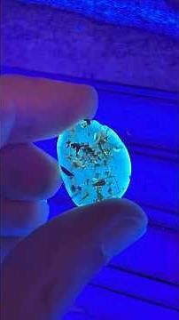 A TIME CAPSULE millions of years old!