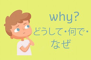 How to say Why in Japanese [Ultimate Guide] - The Language Quest