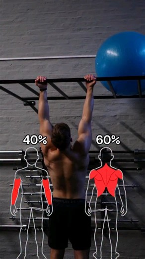 Gravity Defied on Instagram: "The grip positions that give the most efficiency in pull-ups.🥷☠️🥷 #calisthenics #calisthenia #pull #pullup #pullday #pullups #tutorial #tips #grips #hardworkout #muscle #muscleup #planche #gym #traning #athlete #planche #handstand #streetworkouts #homework #homewok #reels #reelsinstagram"