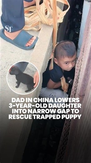 Daring puppy rescue: Father in China lowers 3-year-old girl into narrow gap to retrieve her dog
