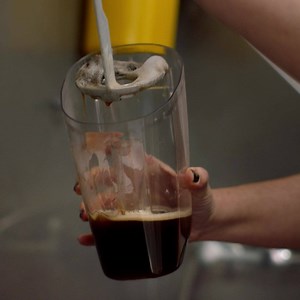 Pet Hair Strainer | BISSELL