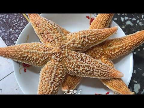 海星怎样做好吃？海鲜贩子教你详细做法，比蟹黄还香，出锅流口水