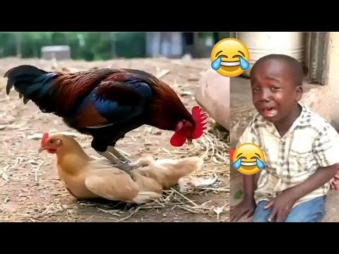 Top 180 Funniest Videos Ever🔥😋Try Not To Laugh 🤣 Memes, Epic Fails & Pranks Compilation Vol. 003