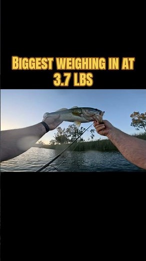 Fishing is GOOD!! Fish report Lake Murray 6/22 #fishing #bassfishing #floattube
