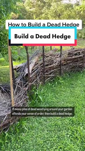 How to Build a Dead Hedge for Sustainable Garden Waste Management
