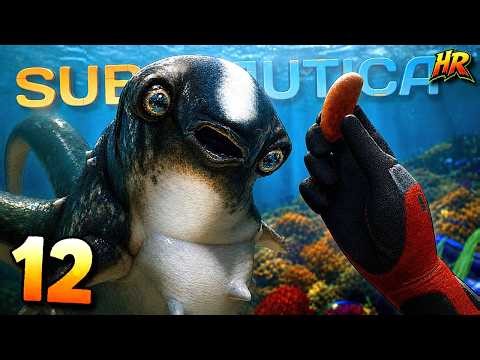 I Have HATCHED a CUDDLEFISH... It's Adorable!