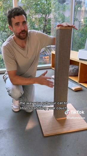 Common Cat Scratching Post Issues and Solutions