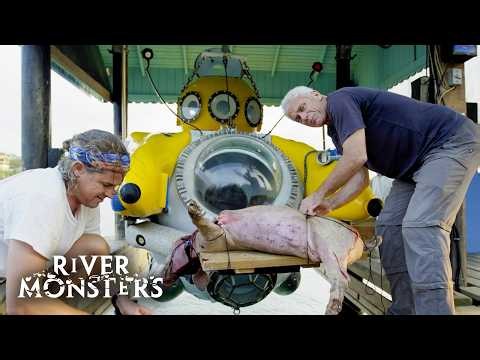 Baiting A Giant Six-Gill Shark At 2,000 Feet BELOW Sea Level | River Monsters