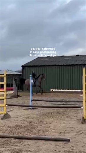 Expert Tips for Safe Show Jumping