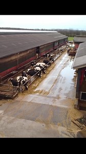 Biggest Tractors Cleaning Cowshed #tractor #cleaning #farm #farm #farmlife #farming #agriculture #nature #farmer #agro #tractor #country #photography #countrylife | Eliana Ivy