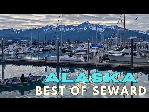 The ULTIMATE Guide to Seward Alaska - Alaska Sea Life Center