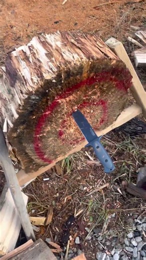 Cold steel drop forged survivalist durability test