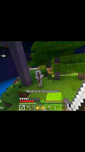 Exploring Skeletons in Minecraft: Bedrock Edition